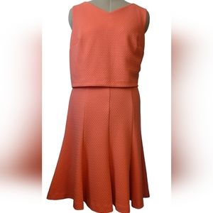 The Limited Orange Casual Fit and Flare Career Dress size 8 for work or play.